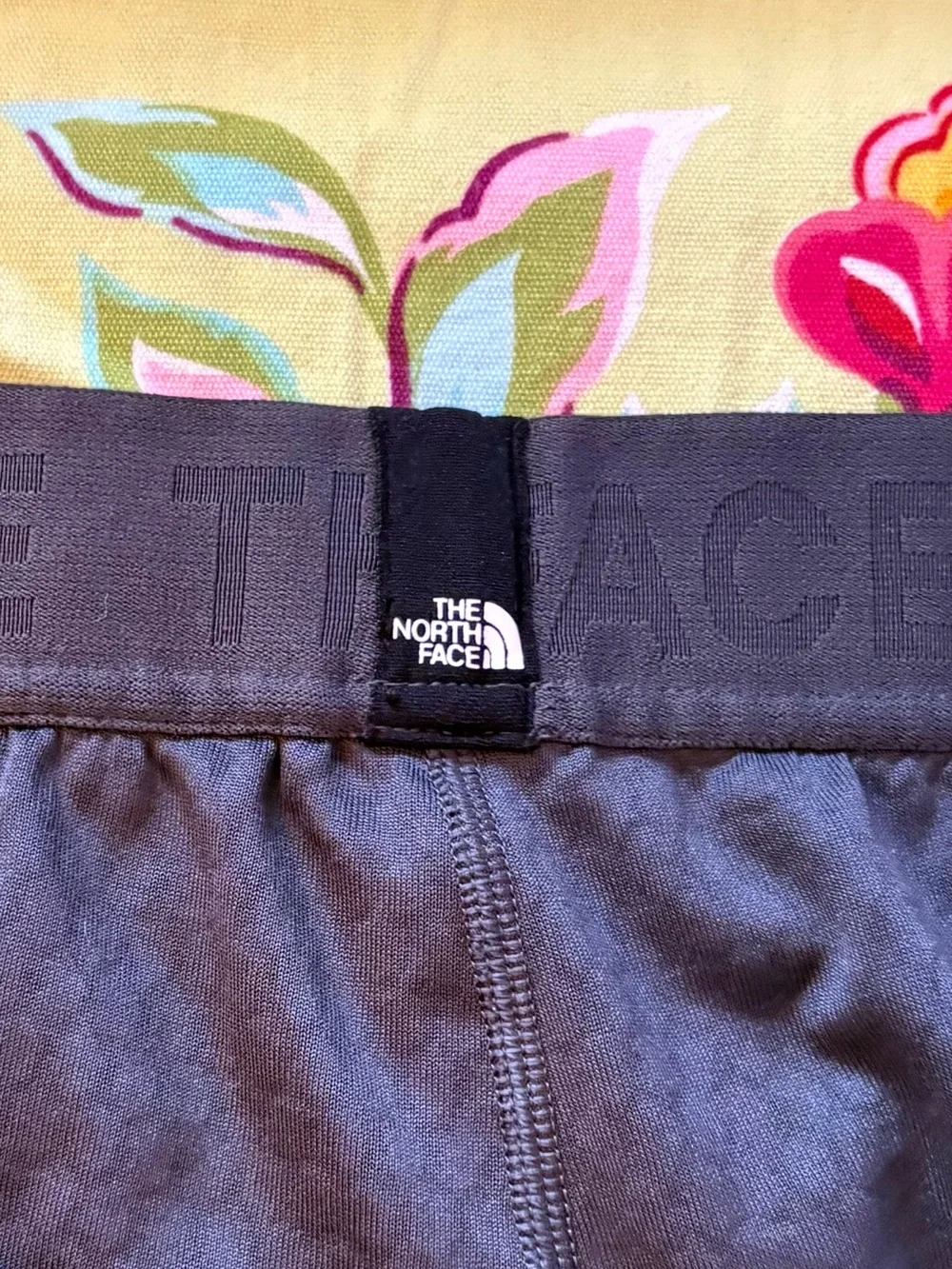 The North Face north face